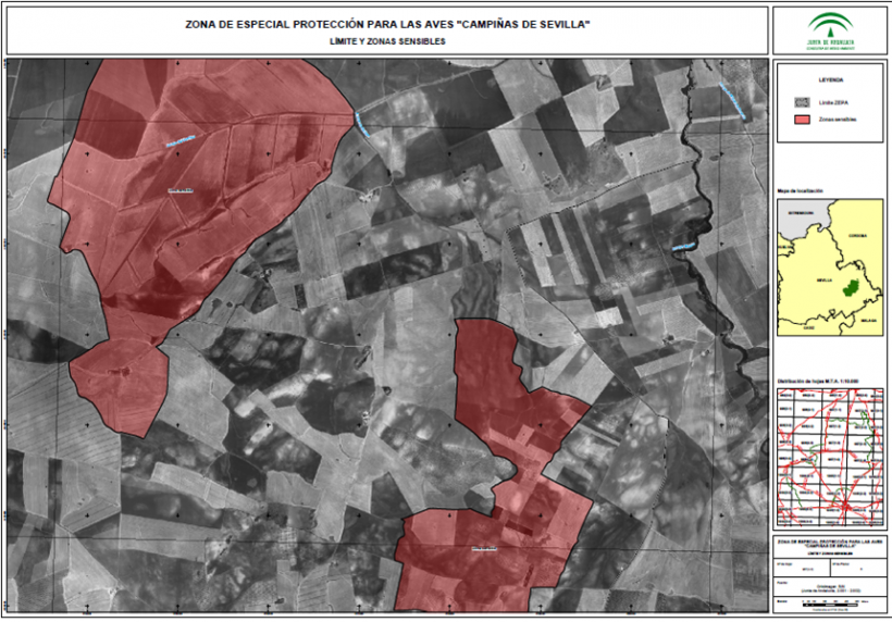 Valoración de Finca en Écija (Sevilla)