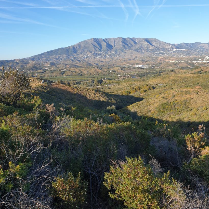 Investigación Registral y catastral. El consentimiento del titular catastral